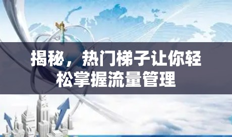 揭秘，热门梯子让你轻松掌握流量管理