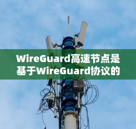 WireGuard高速节点是基于WireGuard协议的高性能加密设备，用于提升网络通信的安全性和效率。以下是对WireGuard高速节点的详细说明