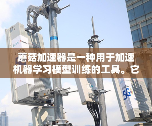 蘑菇加速器是一种用于加速机器学习模型训练的工具。它通过分布式计算和优化算法来提升训练效率，适合在多种环境中使用，包括个人电脑、服务器和云计算平台。以下是一些关于蘑菇加速器的详细介绍