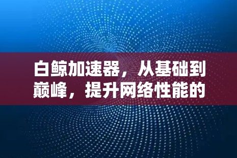 白鲸加速器，从基础到巅峰，提升网络性能的技术突破