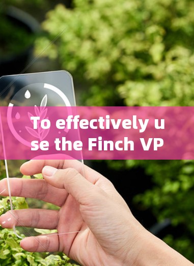 To effectively use the Finch VPN,follow this organized approach: