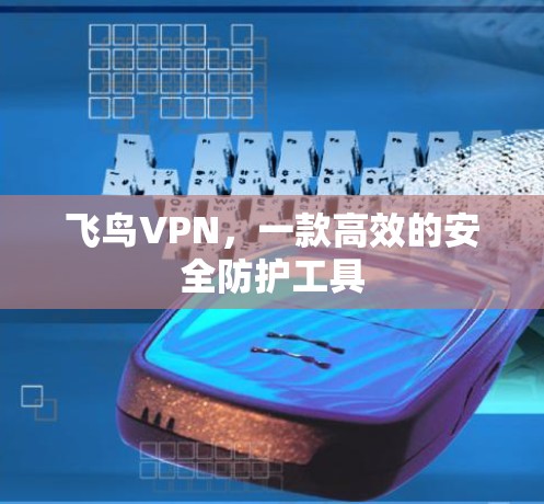 飞鸟VPN，一款高效的安全防护工具