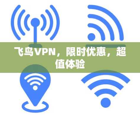 飞鸟VPN，限时优惠，超值体验