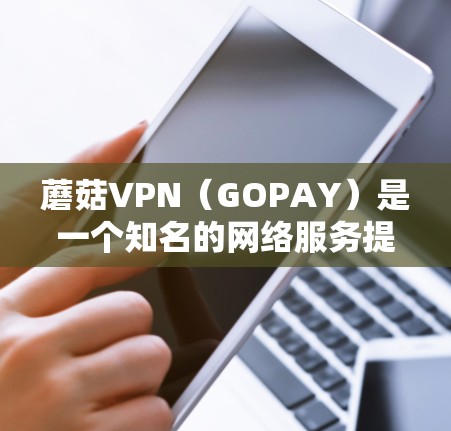 蘑菇VPN（GOPAY）是一个知名的网络服务提供商，专注于提供网络服务和VPN功能。然而，蘑菇VPN官方下载通常不被推荐或提供，因为它们通常不公开提供官方下载渠道，这可能会导致安全风险