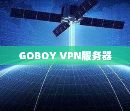GOBOY VPN服务器