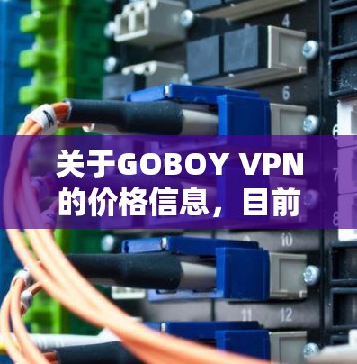 关于GOBOY VPN的价格信息，目前的信息是这样的