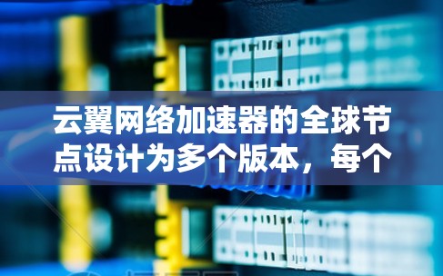 云翼网络加速器的全球节点设计为多个版本，每个版本都有其特定的功能和适用场景，以下是详细的分析