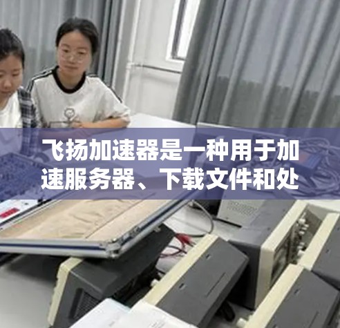 飞扬加速器是一种用于加速服务器、下载文件和处理特定资源的工具。以下是对它的详细说明