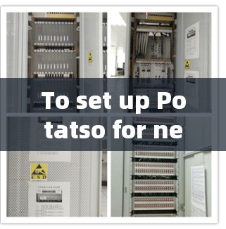 To set up Potatso for network testing,follow these organized steps: