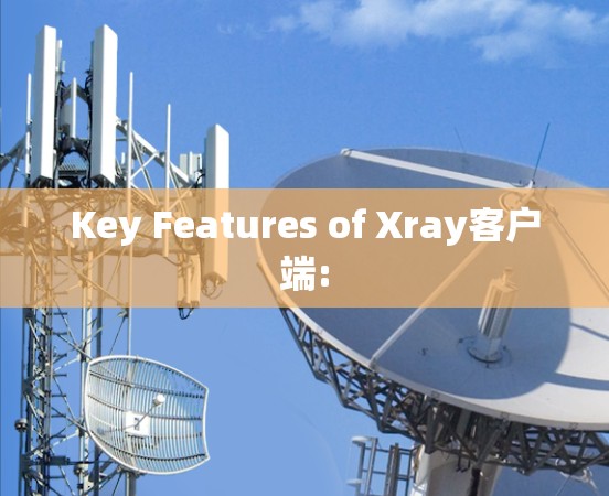 Key Features of Xray客户端: