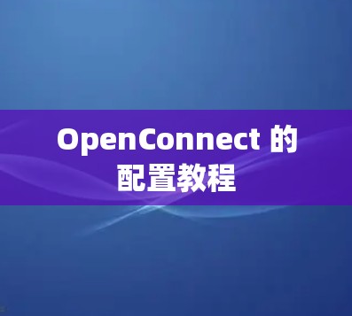 OpenConnect 的配置教程 OpenConnect 的配置教程