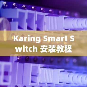 Karing Smart Switch 安装教程 Karing Smart Switch 安装教程