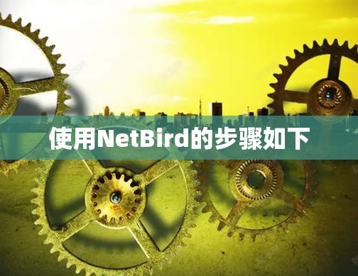 使用NetBird的步骤如下 使用NetBird的步骤如下