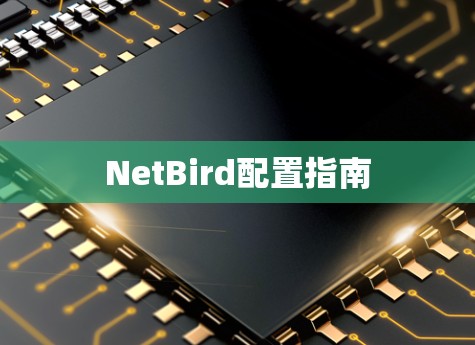 NetBird配置指南 NetBird配置指南