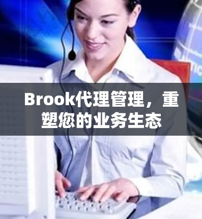 Brook代理管理,重塑您的业务生态 Brook代理管理,重塑您的业务生态