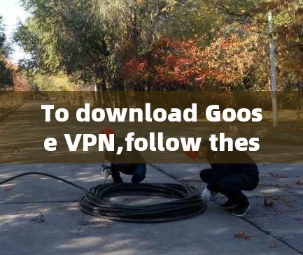 To download Goose VPN,follow these steps: To download Goose VPN,follow these steps: