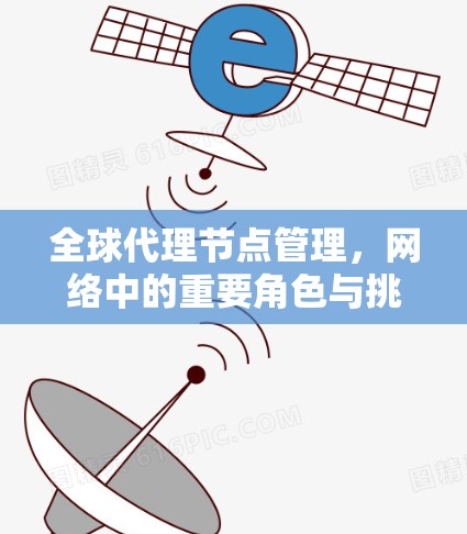 全球代理节点管理，网络中的重要角色与挑战