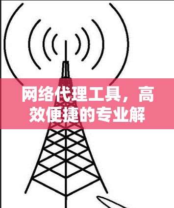 网络代理工具,高效便捷的专业解决方案 网络代理工具,高效便捷的专业解决方案