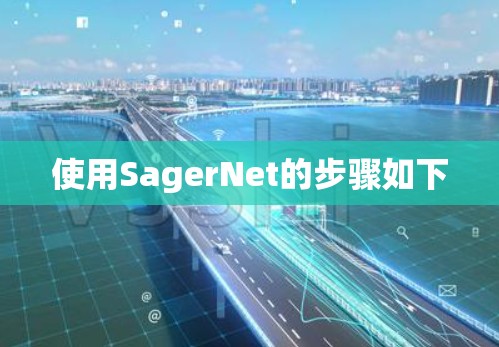 使用SagerNet的步骤如下 使用SagerNet的步骤如下