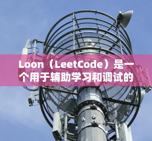 Loon(LeetCode)是一个用于辅助学习和调试的工具,可以帮助开发者更高效地解决问题并提升代码质量。以下是一些常见的 Loon 的配置方法,供你参考 Loon(LeetCode)是一个用于辅助学习和调试的工具,可以帮助开发者更高效地解决问题并提升代码质量。以下是一些常见的 Loon 的配置方法,供你参考