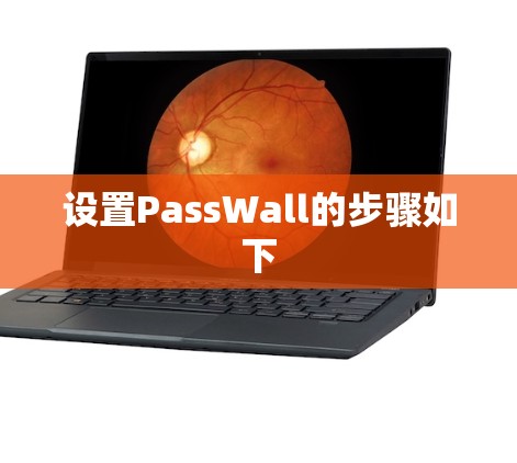 设置PassWall的步骤如下 设置PassWall的步骤如下