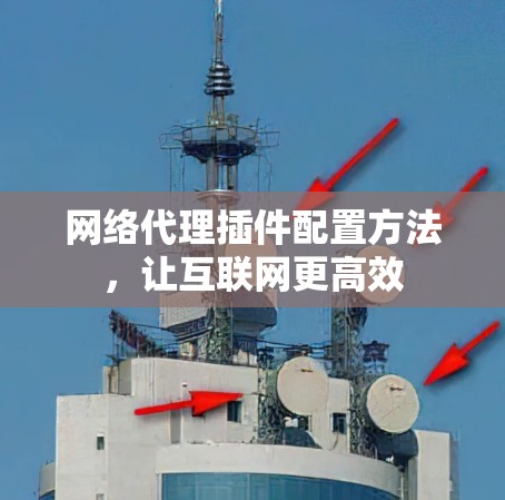 网络代理插件配置方法，让互联网更高效