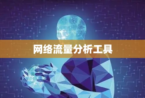 网络流量分析工具 网络流量分析工具