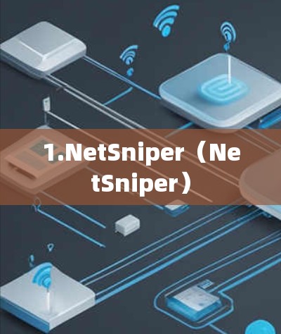1.NetSniper（NetSniper）