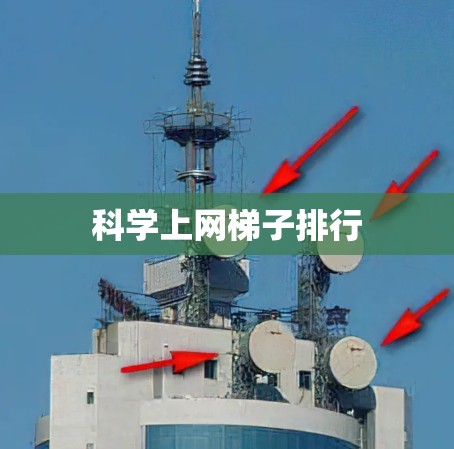 科学上网梯子排行 科学上网梯子排行