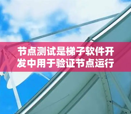 节点测试是梯子软件开发中用于验证节点运行状态的重要步骤，包括静态和动态两种类型。以下是详细的节点测试步骤和注意事项