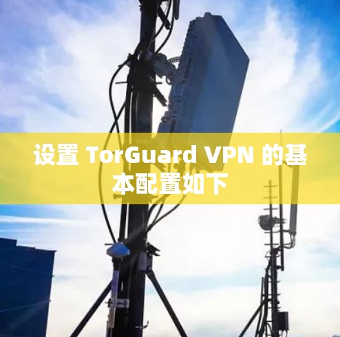设置 TorGuard VPN 的基本配置如下 设置 TorGuard VPN 的基本配置如下