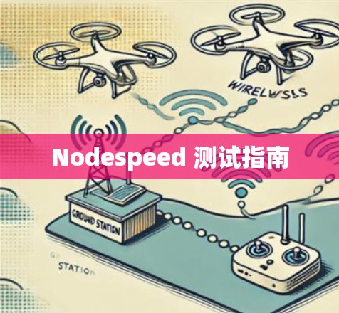 Nodespeed 测试指南 Nodespeed 测试指南
