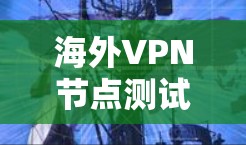 海外VPN节点测试是通过VPN技术在海外地区测试访问本地设备或服务器的过程。以下是详细的步骤和关键点 海外VPN节点测试是通过VPN技术在海外地区测试访问本地设备或服务器的过程。以下是详细的步骤和关键点