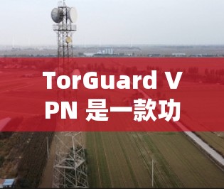 TorGuard VPN 是一款功能全面的移动设备VPN软件,适合用户在手机上进行即时加密的VPN服务。以下是详细介绍 TorGuard VPN 是一款功能全面的移动设备VPN软件,适合用户在手机上进行即时加密的VPN服务。以下是详细介绍