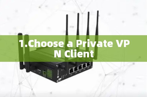 1.Choose a Private VPN Client 1.Choose a Private VPN Client
