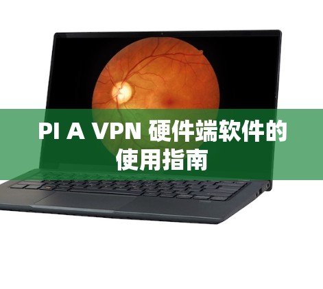 PI A VPN 硬件端软件的使用指南 PI A VPN 硬件端软件的使用指南