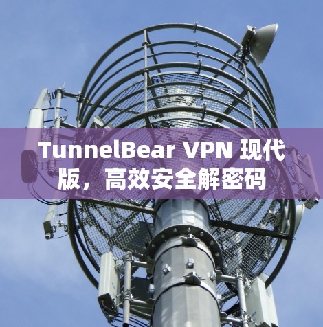TunnelBear VPN 现代版,高效安全解密码 TunnelBear VPN 现代版,高效安全解密码