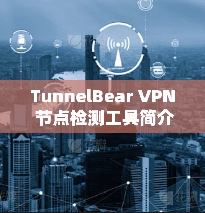 TunnelBear VPN 节点检测工具简介与应用案例分析 TunnelBear VPN 节点检测工具简介与应用案例分析