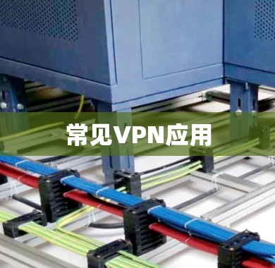 常见VPN应用 常见VPN应用
