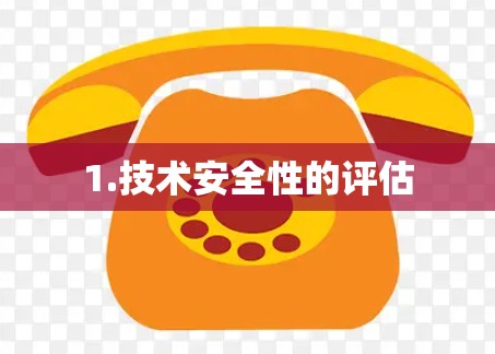 1.技术安全性的评估 1.技术安全性的评估