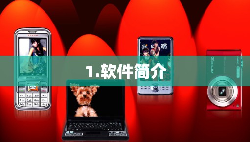 1.软件简介 1.软件简介