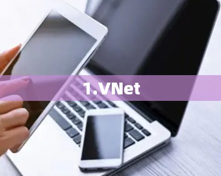 1.VNet 1.VNet