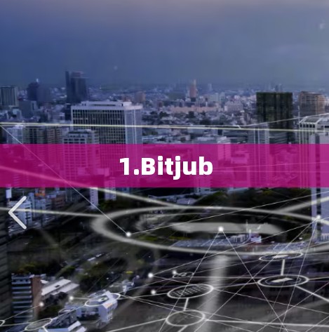 1.Bitjub 1.Bitjub