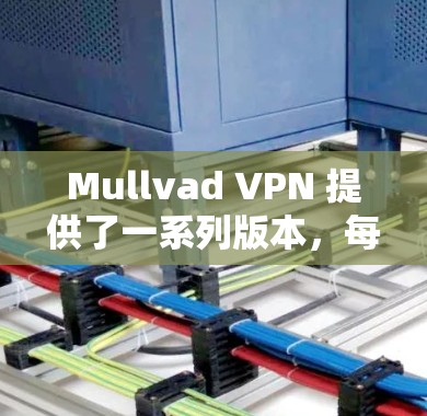 Mullvad VPN 提供了一系列版本,每个版本都有其独特的功能和性能特点。如果你正在寻找一个热门和功能全面的 VPN 解决方案,以下是一些推荐版本,根据功能、安全性、兼容性和使用需求来选择 Mullvad VPN 提供了一系列版本,每个版本都有其独特的功能和性能特点。如果你正在寻找一个热门和功能全面的 VPN 解决方案,以下是一些推荐版本,根据功能、安全性、兼容性和使用需求来选择
