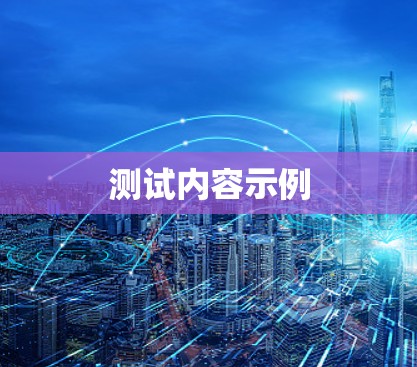 测试内容示例 测试内容示例