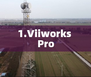 1.Viiworks Pro 1.Viiworks Pro