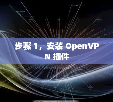 步骤 1,安装 OpenVPN 插件 步骤 1,安装 OpenVPN 插件