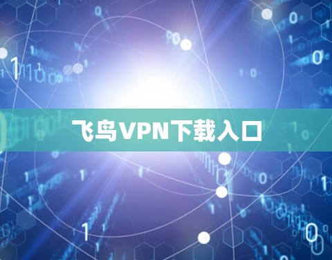 飞鸟VPN下载入口 飞鸟VPN下载入口