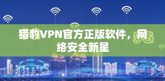 猎豹VPN官方正版软件,网络安全新星 猎豹VPN官方正版软件,网络安全新星