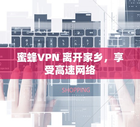 蜜蜂VPN 离开家乡,享受高速网络 蜜蜂VPN 离开家乡,享受高速网络
